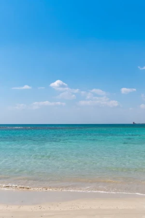 Punta Prosciutto height=